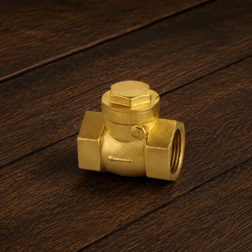 Check Valve - Top Brass Manufacturer Jamnagar